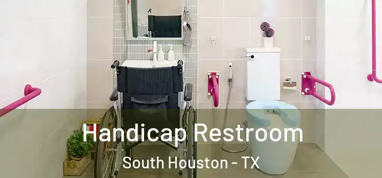 Handicap Restroom South Houston - TX