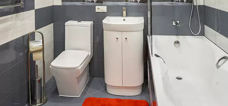 Hansgrohe Shaving Mirror South Houston